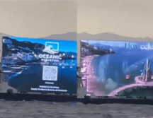 Desorientación de tortugas marinas y alteraciones en la actividad de aves son algunas de las afectaciones por la contaminación lumínica en el mar. ESPECIAL/PEXELS