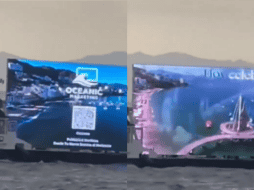 Desorientación de tortugas marinas y alteraciones en la actividad de aves son algunas de las afectaciones por la contaminación lumínica en el mar. ESPECIAL/PEXELS