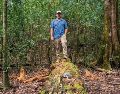 Caminar entre esta vegetación permite descubrir que la singularidad del sitio rebasa a sus maples. ESPECIAL