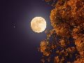 La Luna de la Cosecha alcanzará su máxima iluminación aproximadamente a las 10:49 horas del sábado 26 de septiembre. ESPECIAL/PEXELS