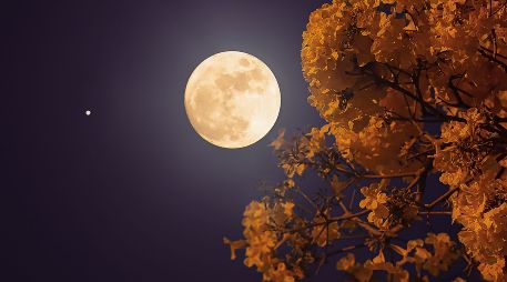 La Luna de la Cosecha alcanzará su máxima iluminación aproximadamente a las 10:49 horas del sábado 26 de septiembre. ESPECIAL/PEXELS