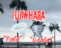 Mantente informado de los huracanes “Polo” y “Odalys” en las costas mexicanas a través de fuentes oficiales. EFE / ARCHIVO