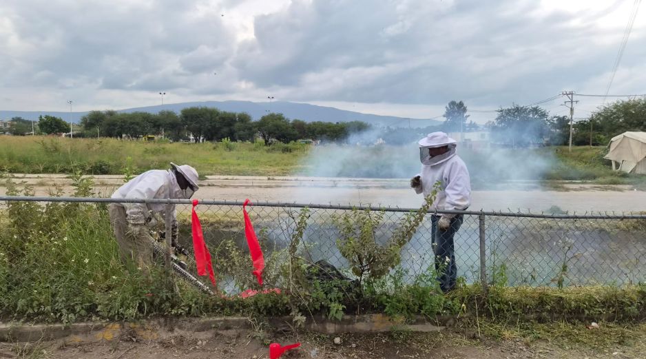 Personal especializado en apicultura de la Unidad de Rescate de Fauna Silvestre de Tlajomulco (URFST) participó en la atención del incidente. ESPECIAL