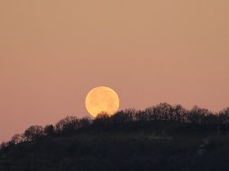 La Luna de Cosecha de septiembre 2026 ilumina el cielo este fin de semana. ESPECIAL/PIXABAY