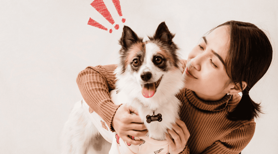El estudio sugiere que podrían existir mecanismos de procesamiento similares entre humanos y perros sin que estos requieran capacidades consideradas propiamente humanas. CANVA