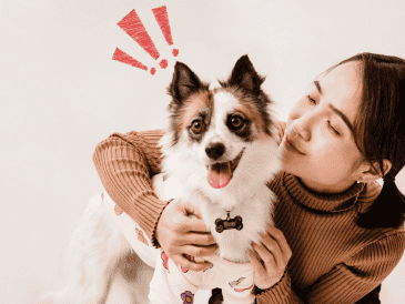 El estudio sugiere que podrían existir mecanismos de procesamiento similares entre humanos y perros sin que estos requieran capacidades consideradas propiamente humanas. CANVA