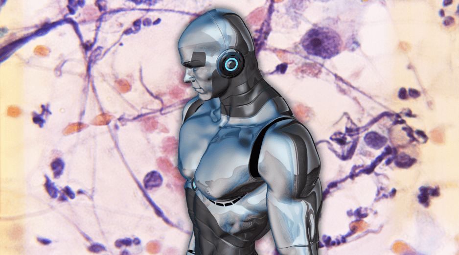 Esta investigación aporta un nuevo enfoque en la lucha contra el cáncer basado en la combinación de nanotecnología y matemáticas. ESPECIAL/Canva