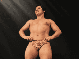 Uno de los momentos más importantes de su trayectoria ocurrió en el Toreo de Cuatro Caminos, donde el 27 de diciembre de 1981 derrotó a Alfonso Dantés para conquistar el Campeonato Nacional Semicompleto. Instagram @elhijodelsanto_oficial