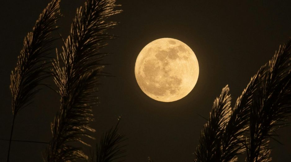 Se le denomina Luna de Cosecha exclusivamente cuando se encuentra en su fase de Luna llena en la fecha más cercana a esta importante transición estacional. Unsplash
