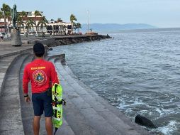 El personal de PC Jalisco continúa en la Costa Norte, donde se atienden las consecuencias de las precipitaciones registradas en las últimas horas. X / @GobiernoJalisco