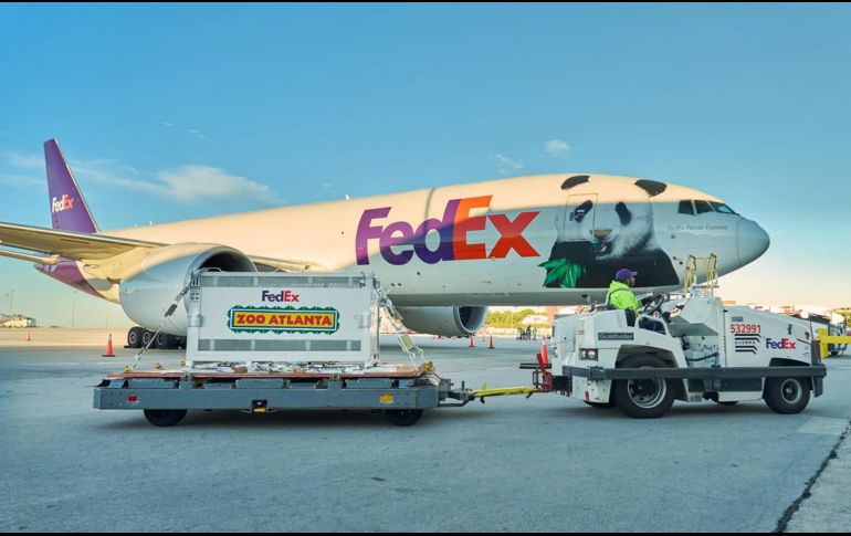 Fotografía cedida por FedEx que muestra a un hombre transportando el contenedor de uno de los osos panda gigantes que llegó este domingo al zoológico de Atlanta procedente de China. EFE/ Fedex