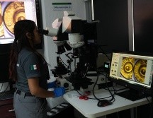 El Instituto Jalisciense de Ciencias Forenses mantiene acreditación internacional de sus laboratorios forenses. ESPECIAL/IJCF