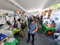 De acuerdo con la Encuesta Nacional de Ocupación y Empleo 2026, la población económicamente activa sumó 62.6 millones de personas. EL INFORMADOR/ARCHIVO
