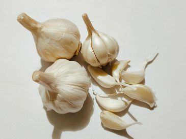 Integrar un ajo crudo en la dieta diaria aporta beneficios demostrados por la ciencia, desde la reducción de la presión arterial hasta la protección contra infecciones, convirtiéndolo en un superalimento accesible. Unsplash