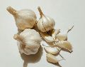 Integrar un ajo crudo en la dieta diaria aporta beneficios demostrados por la ciencia, desde la reducción de la presión arterial hasta la protección contra infecciones, convirtiéndolo en un superalimento accesible. Unsplash