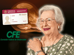 Para brindar certeza a los beneficiarios, la institución actualiza de manera constante su Directorio de Beneficios con Credencial INAPAM. ESPECIAL/Canva/Inapam/CFE