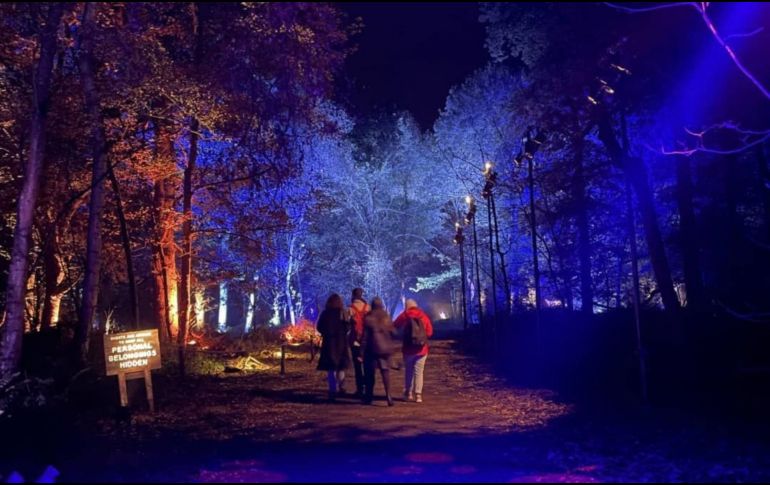 El Bosque Prohibido podrá visitarse desde octubre y ya se conocen las fechas, precios y tipos de boletos disponibles. INSTAGRAM/@hpforbiddenforestexperience.