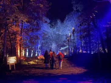 El Bosque Prohibido podrá visitarse desde octubre y ya se conocen las fechas, precios y tipos de boletos disponibles. INSTAGRAM/@hpforbiddenforestexperience.