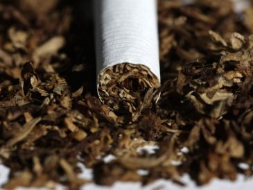 El operativo ocurre en medio de las acciones de las autoridades mexicanas contra el comercio ilegal de tabaco. EFE/J. Arguedas
