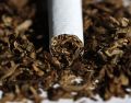 El operativo ocurre en medio de las acciones de las autoridades mexicanas contra el comercio ilegal de tabaco. EFE/J. Arguedas