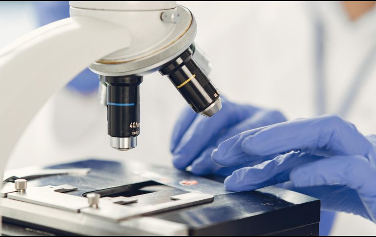 La Secretaría de Salud y la Cofepris informaron que no existe evidencia analítica concluyente para responsabilizar a los alimentos mexicanos por los brotes de Salmonella y Cyclospora investigados por la FDA. ESPECIAL / CANVA