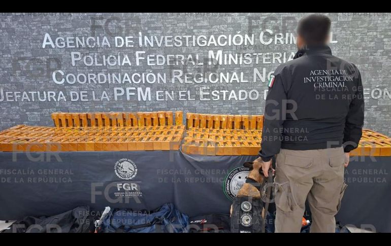Además del aseguramiento, agentes detuvieron a un sospechoso identificado como Miguel 