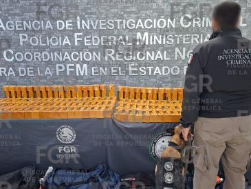 Además del aseguramiento, agentes detuvieron a un sospechoso identificado como Miguel "N". X/FGRMexico