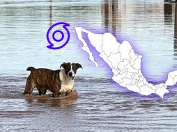 Una combinación inusual de sistemas meteorológicos provocará un marcado descenso térmico y precipitaciones en algunas regiones del país. EFE / ARCHIVO