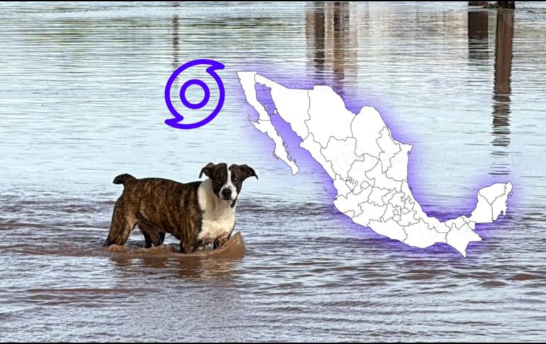 Una combinación inusual de sistemas meteorológicos provocará un marcado descenso térmico y precipitaciones en algunas regiones del país. EFE / ARCHIVO