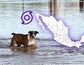Una combinación inusual de sistemas meteorológicos provocará un marcado descenso térmico y precipitaciones en algunas regiones del país. EFE / ARCHIVO