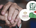 El monto depende del instituto y del régimen de pensión correspondiente. CANVA