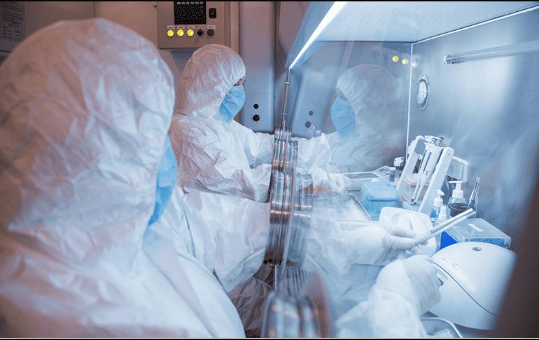La OMS fue informada por las autoridades rusas de la muerte el 2 de octubre de la trabajadora de laboratorio; no se ha confirmado oficialmente la causa de su fallecimiento. AP/Instituto Antipeste de Irkutsk de Siberia y Lejano Oriente