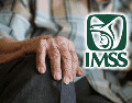 El pago se recorrerá de manera automática al siguiente día hábil. ESPECIAL/IMSS/Canva
