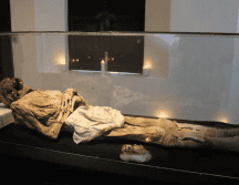El recinto alberga temporalmente a los ejemplares históricos que habitualmente se exhiben en el Museo de las Ánimas. ESPECIAL/Gobierno de Tlajomulco