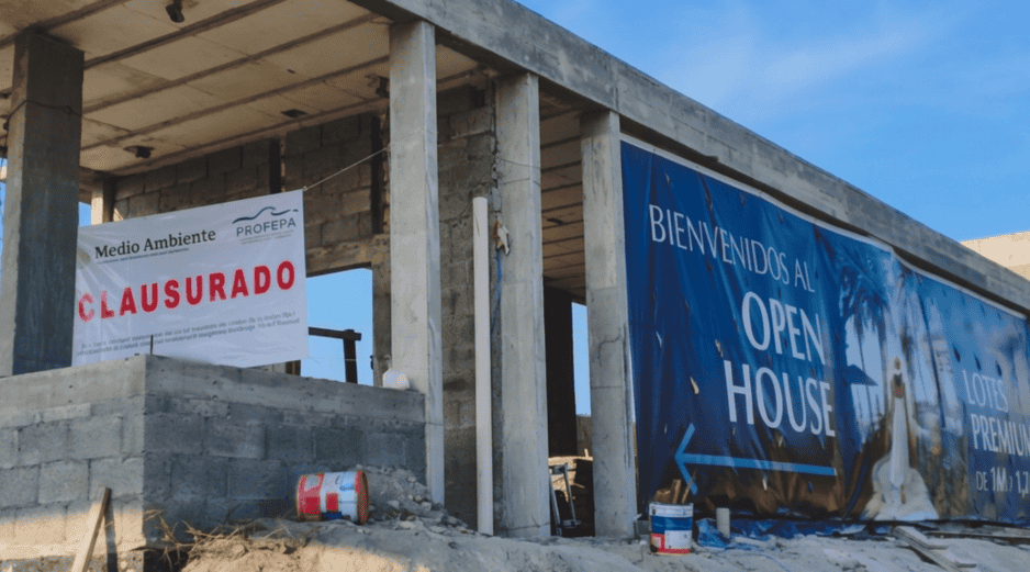 El municipio de Alvarado en el sur de Veracruz concentra una amplia diversidad de ecosistemas costeros. ESPECIAL / Profepa