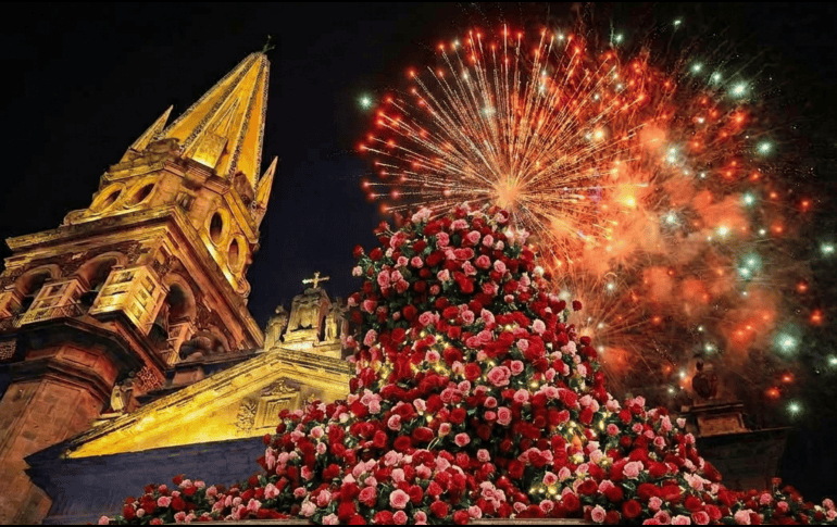 Cada rosal que hoy adorna la ciudad es un recordatorio de cuando Guadalajara decidió florecer a lo grande y se apodó 
