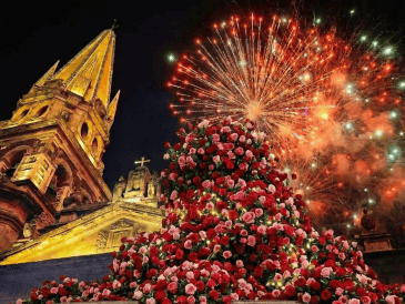 Cada rosal que hoy adorna la ciudad es un recordatorio de cuando Guadalajara decidió florecer a lo grande y se apodó "La Ciudad de las Rosas". EL INFORMADOR / ARCHIVO