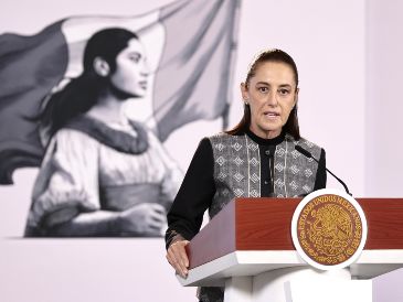 Sheinbaum Pardo precisó que los datos apuntan a una falla mecánica. EFE/J. Méndez