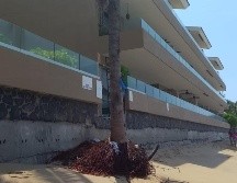 Con esto, se confirmó la validez de las sanciones impuestas por la Profepa por afectaciones a la Zona Federal Marítimo Terrestre y terrenos ganados al mar. ESPECIAL/PROFEPA