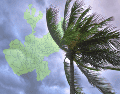 Protección Civil activó alerta amarilla para 22 localidades y verde para 71. ESPECIAL/Canva