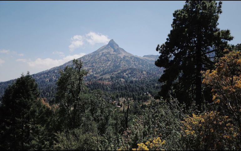 De acuerdo con el reporte matutino de Protección Civil, el sistema se intensificó a categoría 2. CORTESÍA/ Secretaría de Medio Ambiente y Desarrollo Territorial del Estado de Jalisco