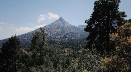 De acuerdo con el reporte matutino de Protección Civil, el sistema se intensificó a categoría 2. CORTESÍA/ Secretaría de Medio Ambiente y Desarrollo Territorial del Estado de Jalisco