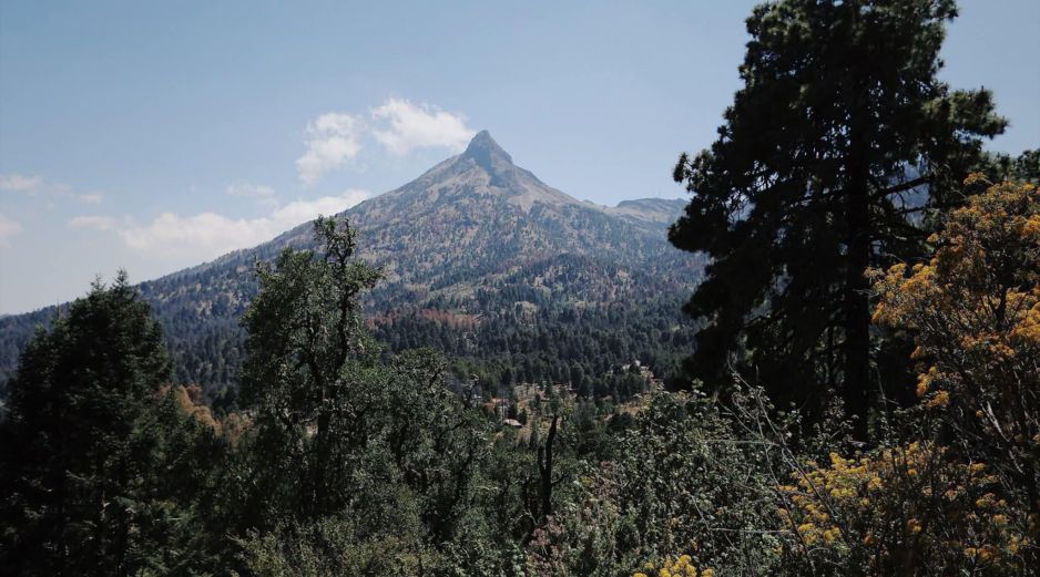 De acuerdo con el reporte matutino de Protección Civil, el sistema se intensificó a categoría 2. CORTESÍA/ Secretaría de Medio Ambiente y Desarrollo Territorial del Estado de Jalisco