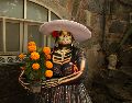 La flor de cempasúchil destaca como el elemento más representativo del Día de Muertos por su característico color y aroma. ESPECIAL/PEXELS
