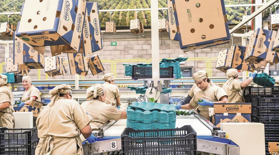 Jalisco generó 11 mil 581 empleos formales durante septiembre, tras las pérdidas registradas en agosto. ESPECIAL