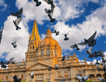 La probabilidad de precipitaciones en la capital jalisciense y sus municipios aledaños, como Zapopan y Tlaquepaque, se mantiene latente. ESPECIAL / CANVA