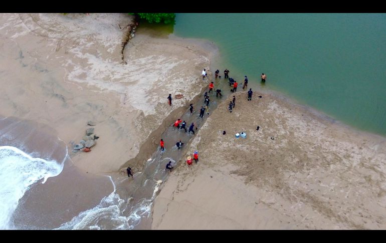 ESPECIAL / Protección Civil y Bomberos Puerto Vallarta