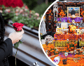 En México, el Día de Muertos está acompañado de costumbres que pasan de generación en generación. CANVA
