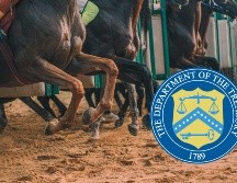 El Cártel del Noreste se dedicaría a la explotación del sector hípico con la intención de lavar dinero y así poder continuar con el financiamiento de sus operaciones, según EU. PEXELS / U. Farouk