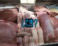 Estas son algunas opciones que puedes considerar para alternar tu consumo cárnico y evitar pérdidas por hierro. EL INFORMADOR / ARCHIVO